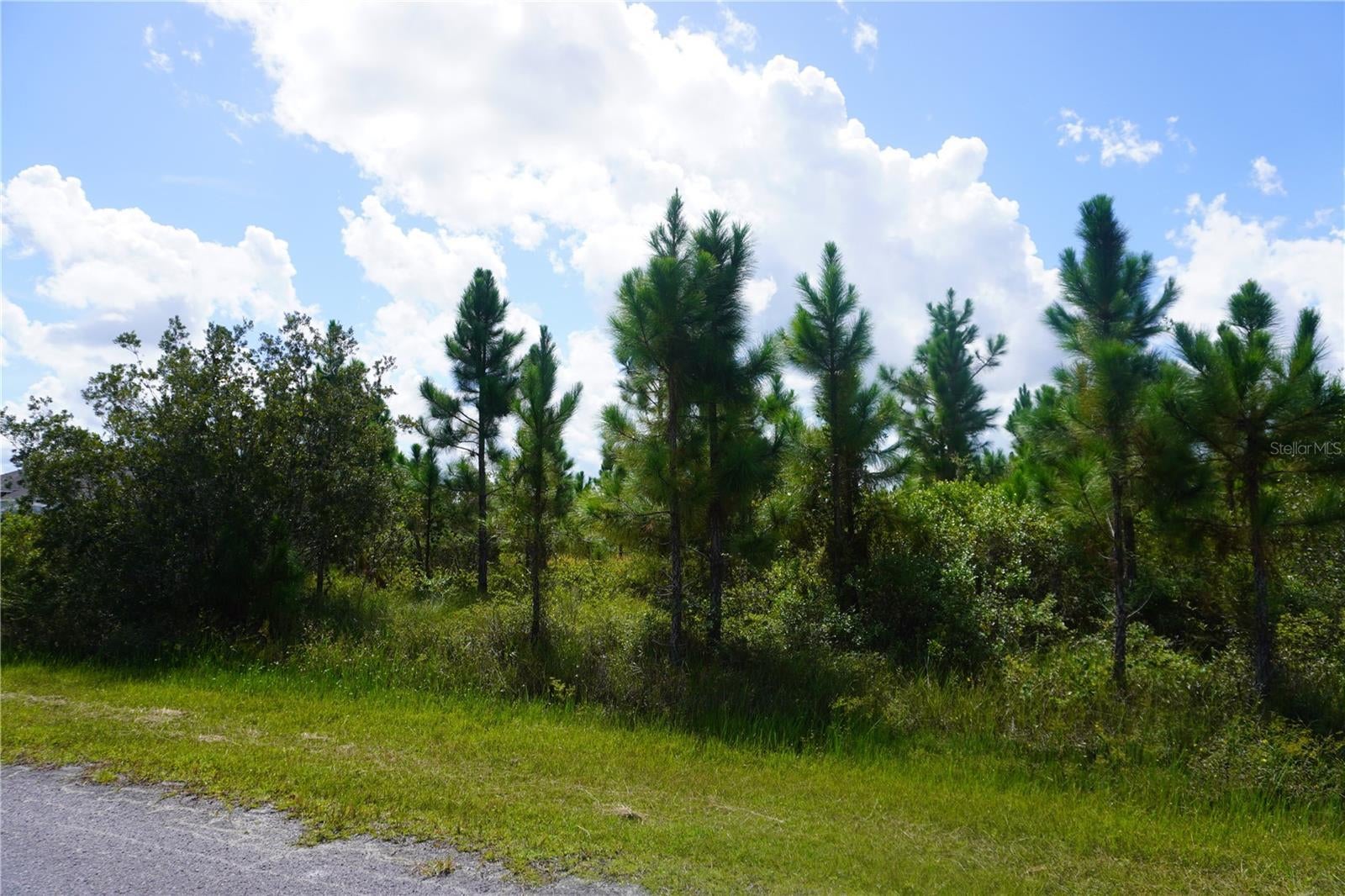 Photo of Listing #P4936367