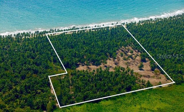 Photo of Listing #PR9095512