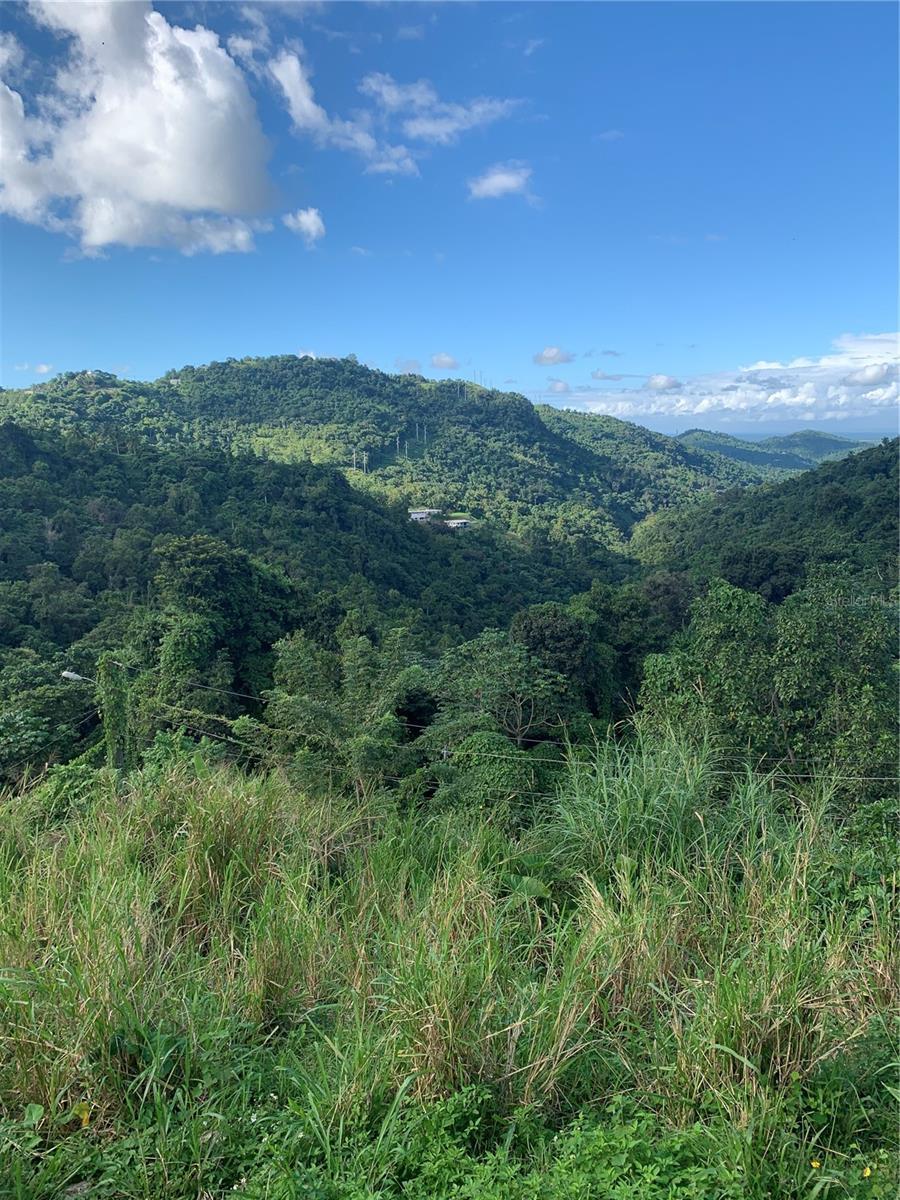 907 Carretera Km 2.2, CANOVANAS