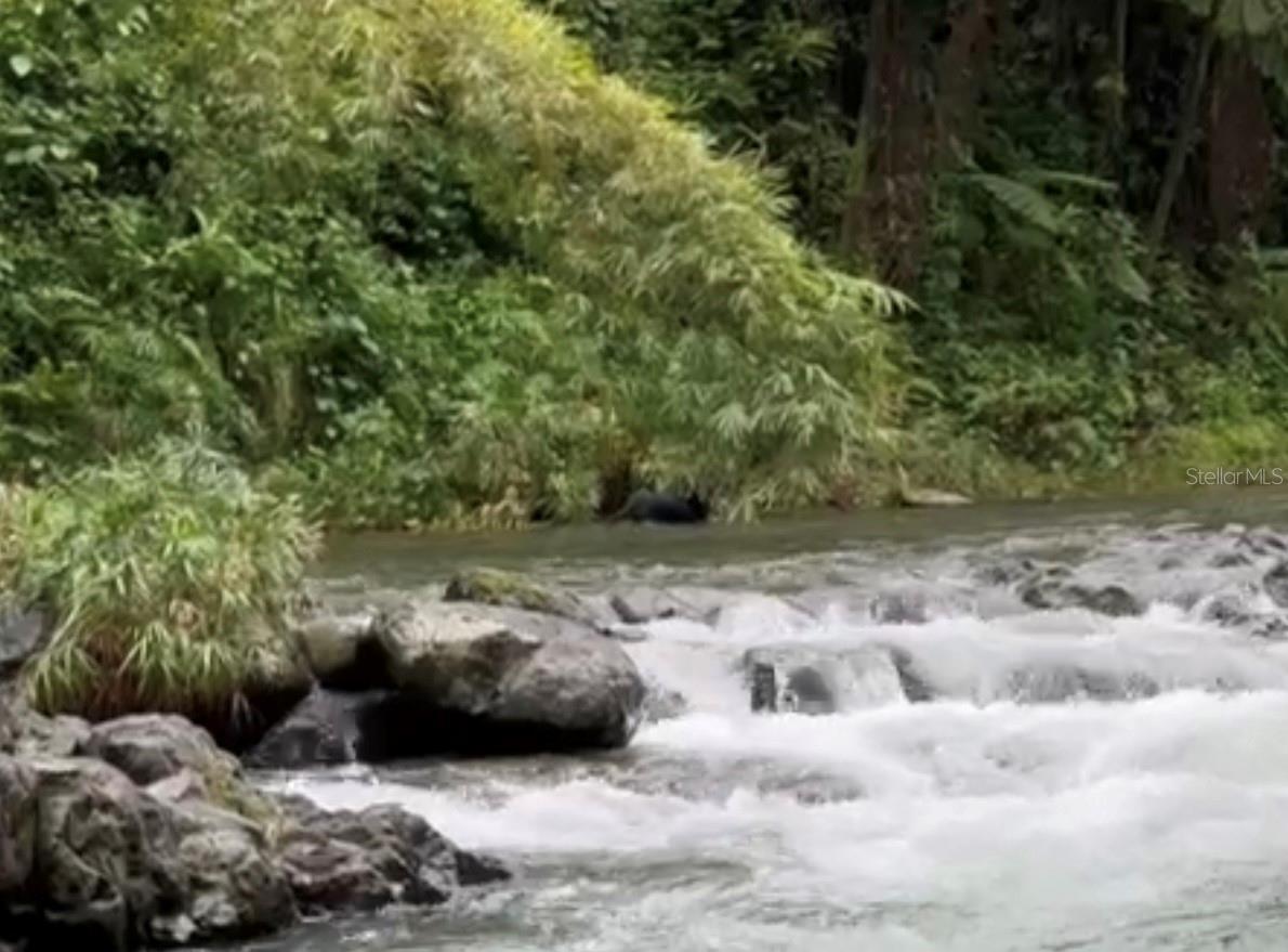 Photo of Listing #PR9110236