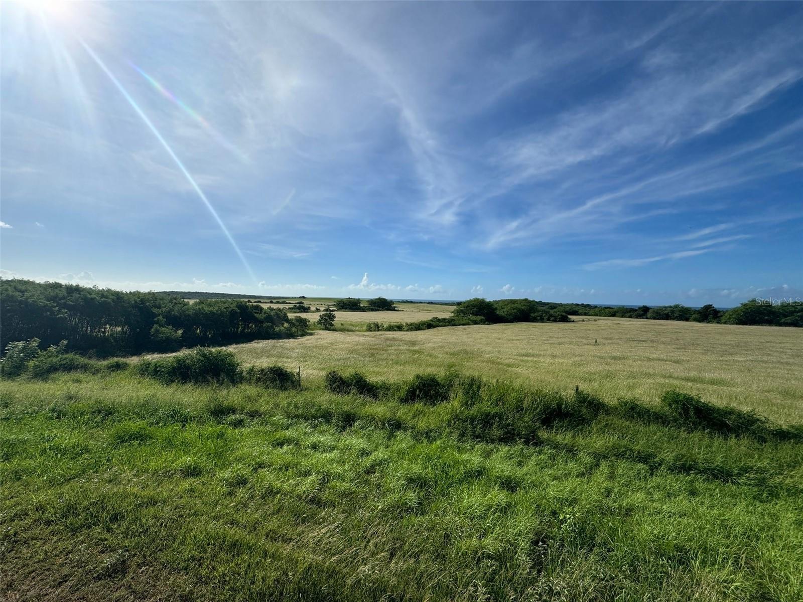 Photo of Listing #PR9111594