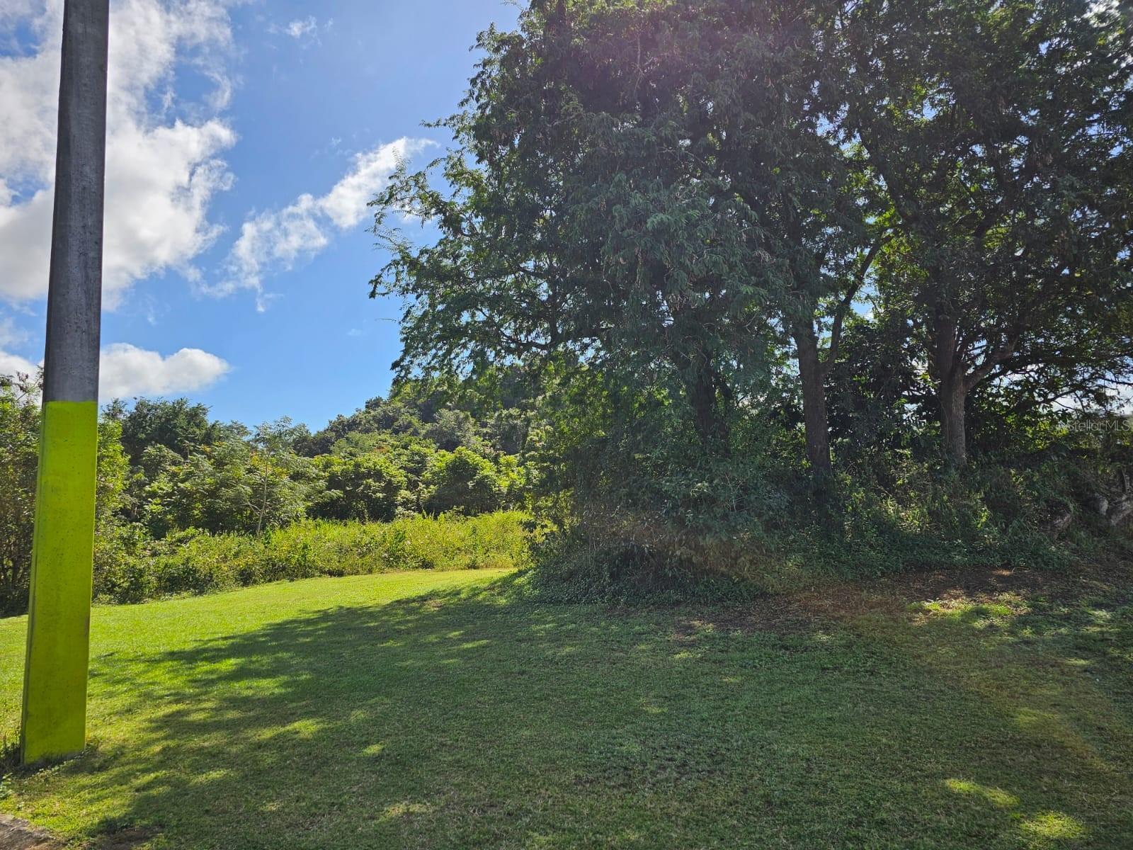 Photo of Listing #PR9111776