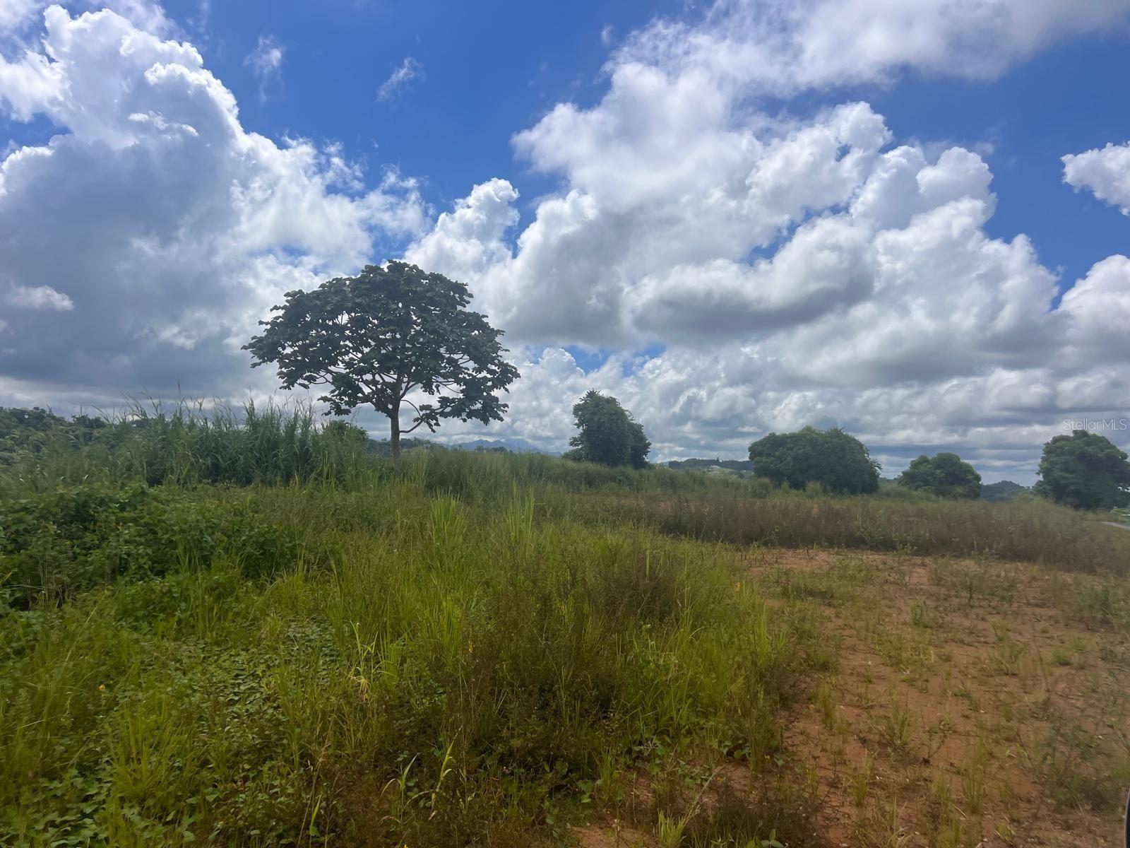 Photo of Listing #PR9114255