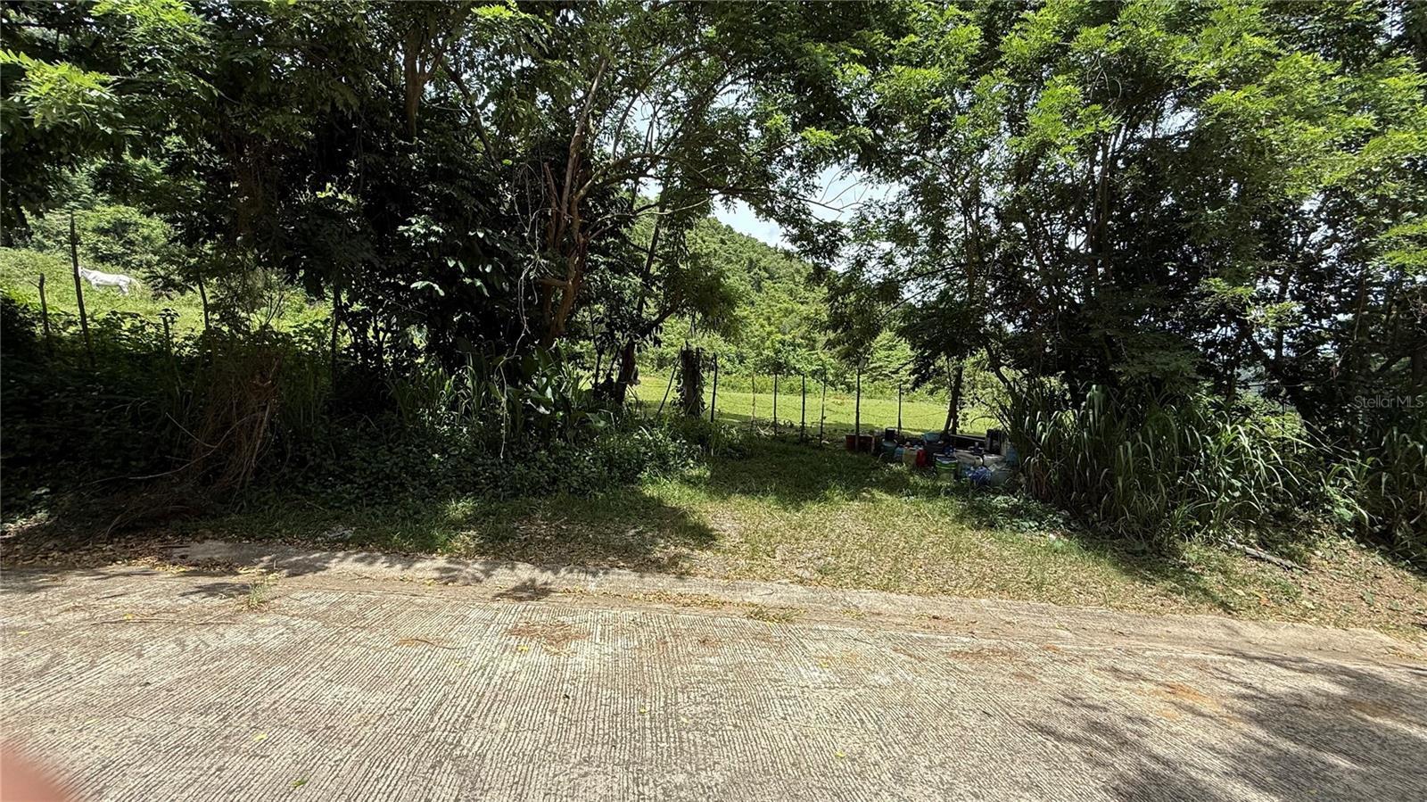 Photo of Listing #PR9114546
