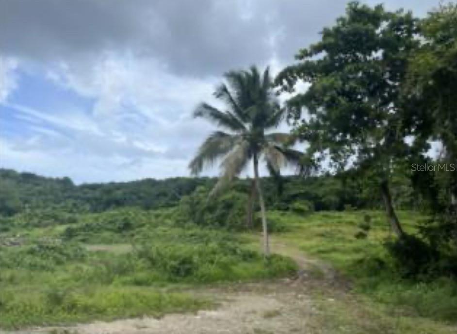 Photo of Listing #PR9114954