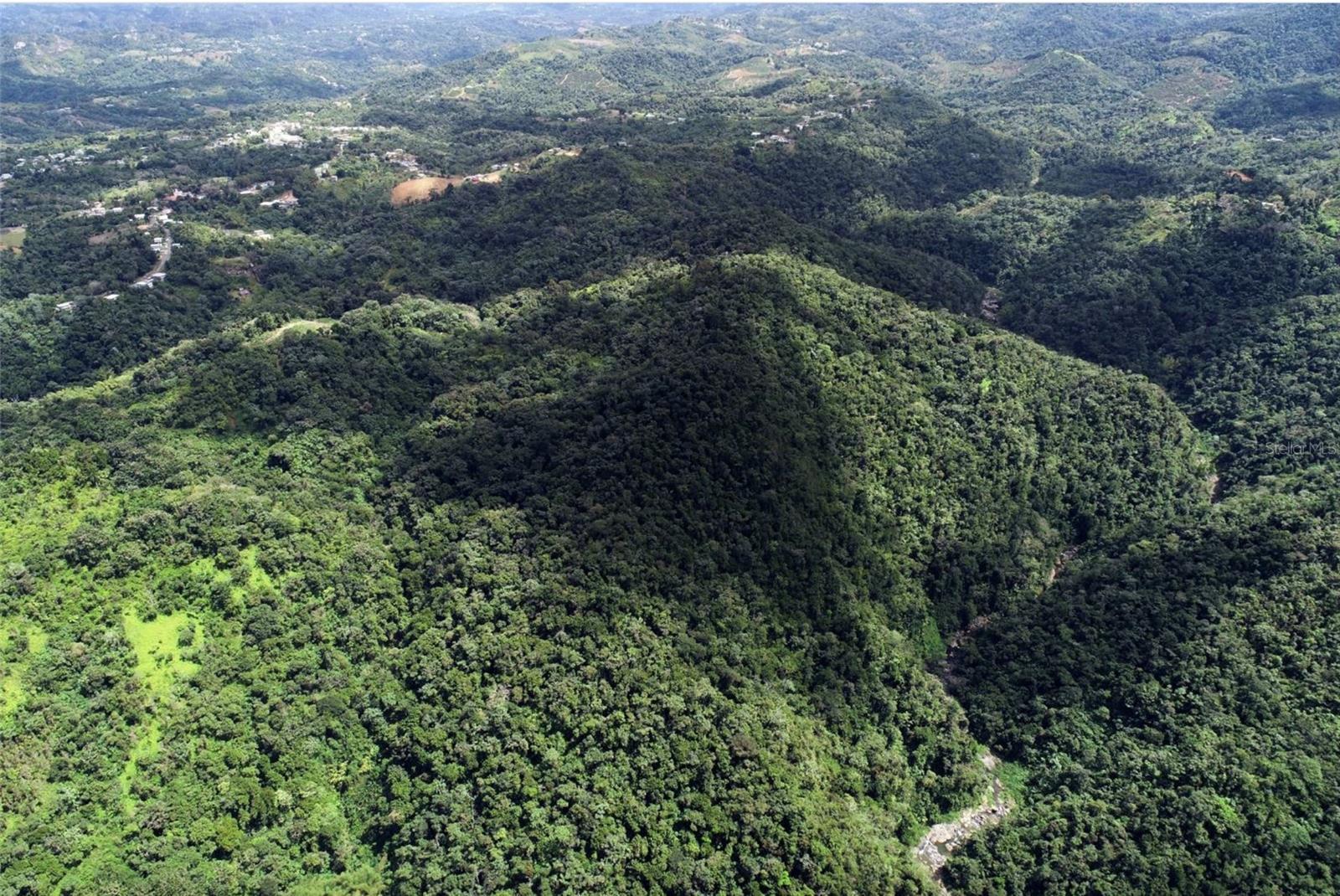 Photo of Listing #PR9115897