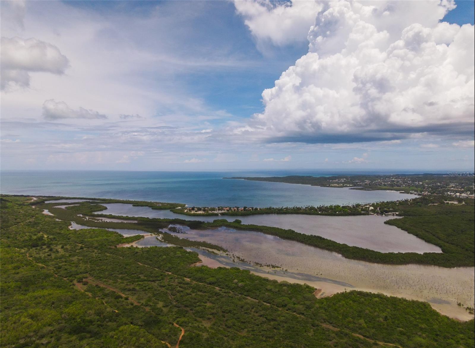 Photo of Listing #PR9115935