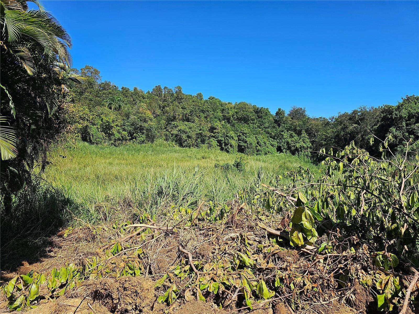 Photo of Listing #PR9115971