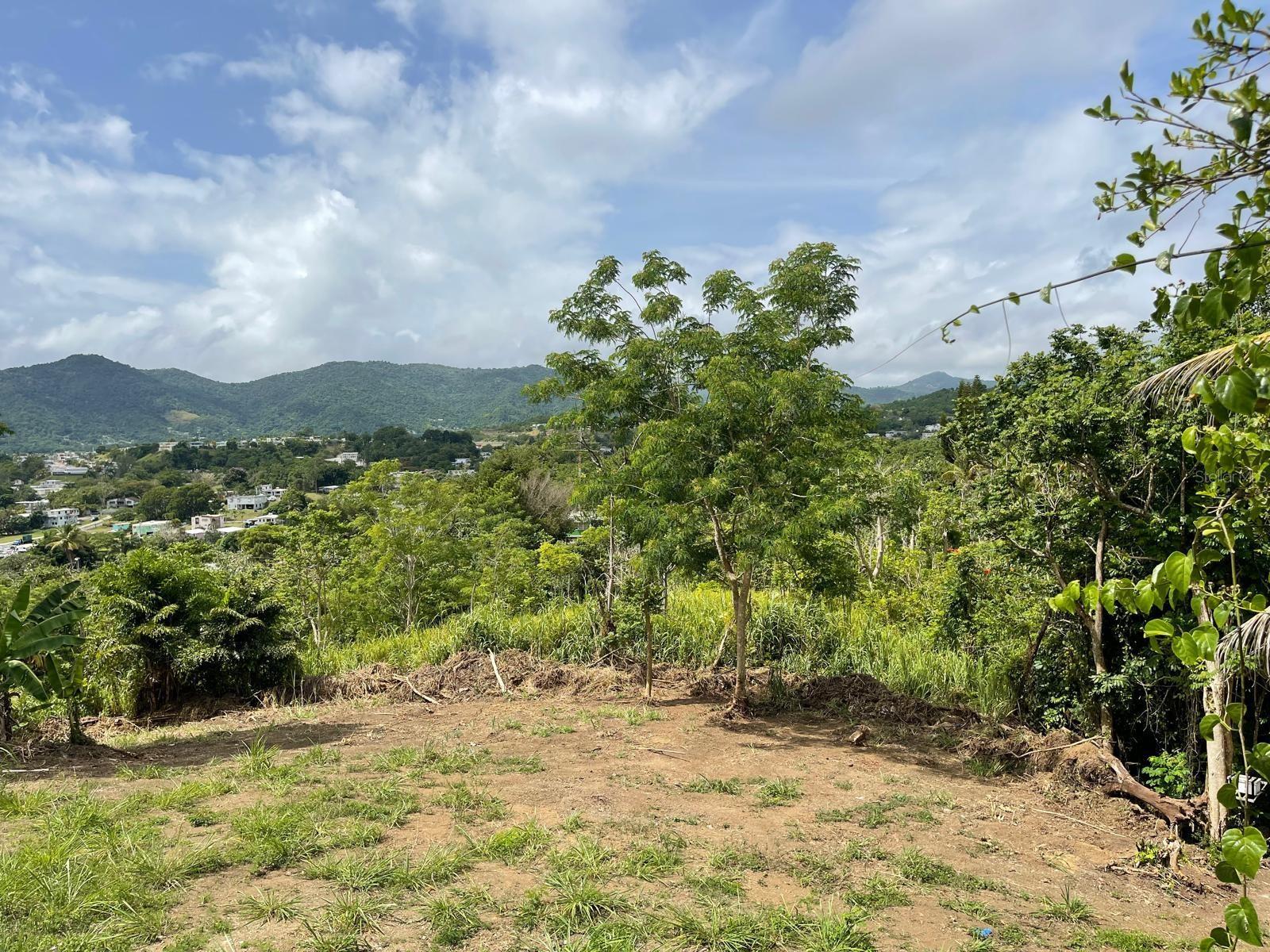 Photo of Listing #PR9116009