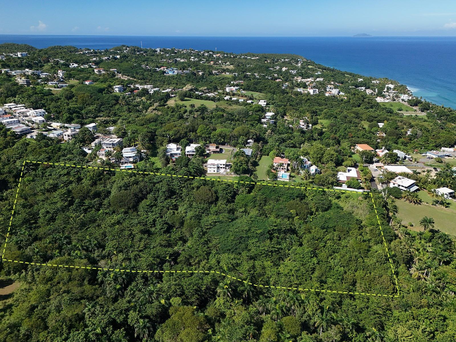 Photo of Listing #PR9117159