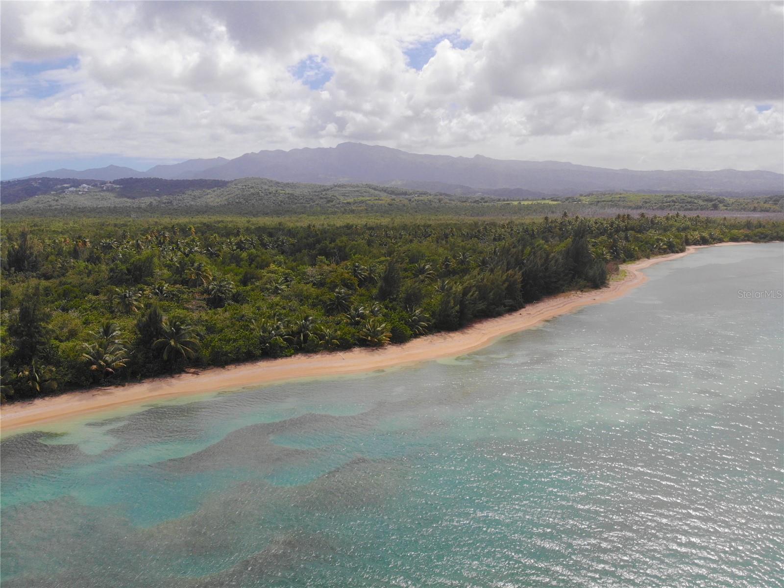 Photo of Listing #PR9117762