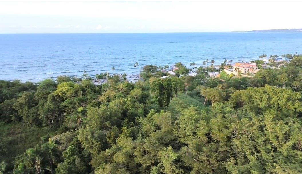 Photo of Listing #PR9118799