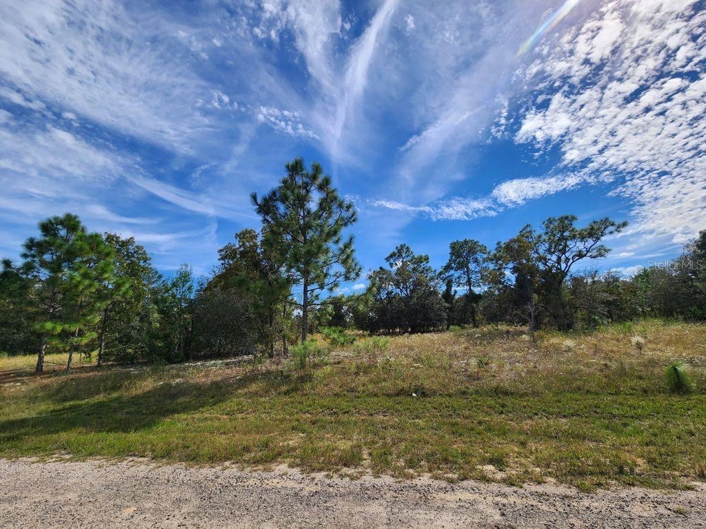 3336 West Nieman Drive, DUNNELLON FL DUNNELLON Lots/Land Homes For Sale