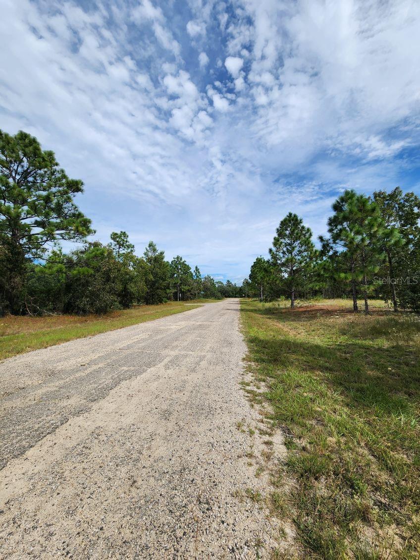 3336 West Nieman Drive, DUNNELLON FL DUNNELLON Lots/Land Homes For Sale