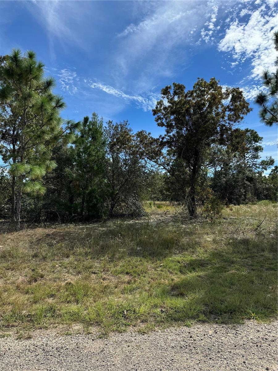 3336 West Nieman Drive, DUNNELLON FL DUNNELLON Lots/Land Homes For Sale