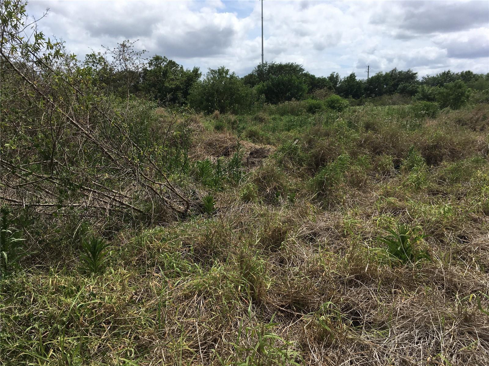 Photo of Listing #S5117321