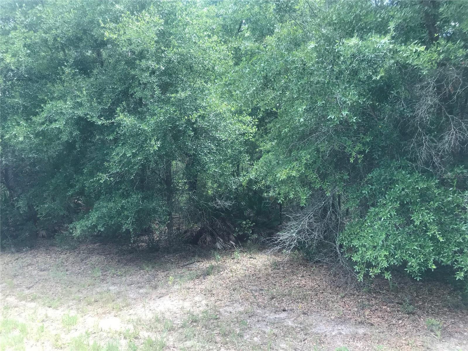 Photo of Listing #S5124111