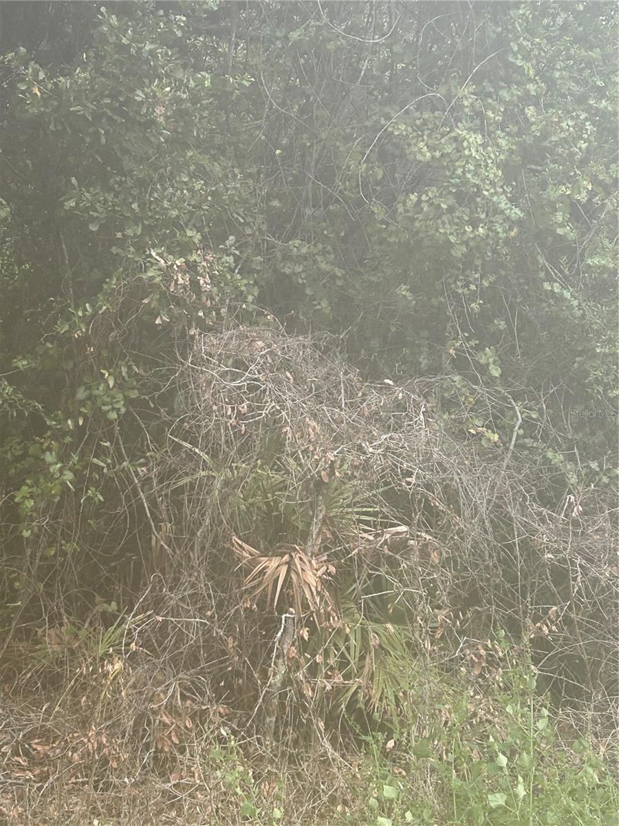 Photo of Listing #S5133907