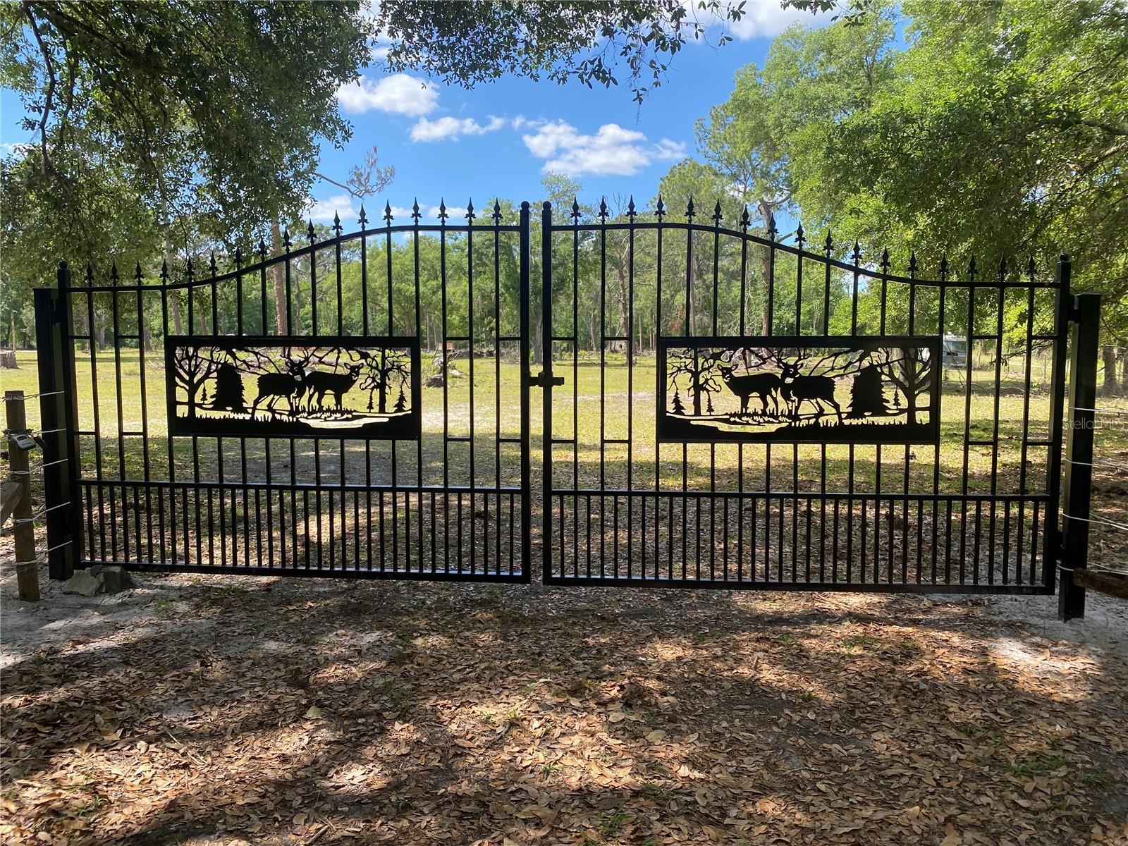 Photo of Listing #T3292901