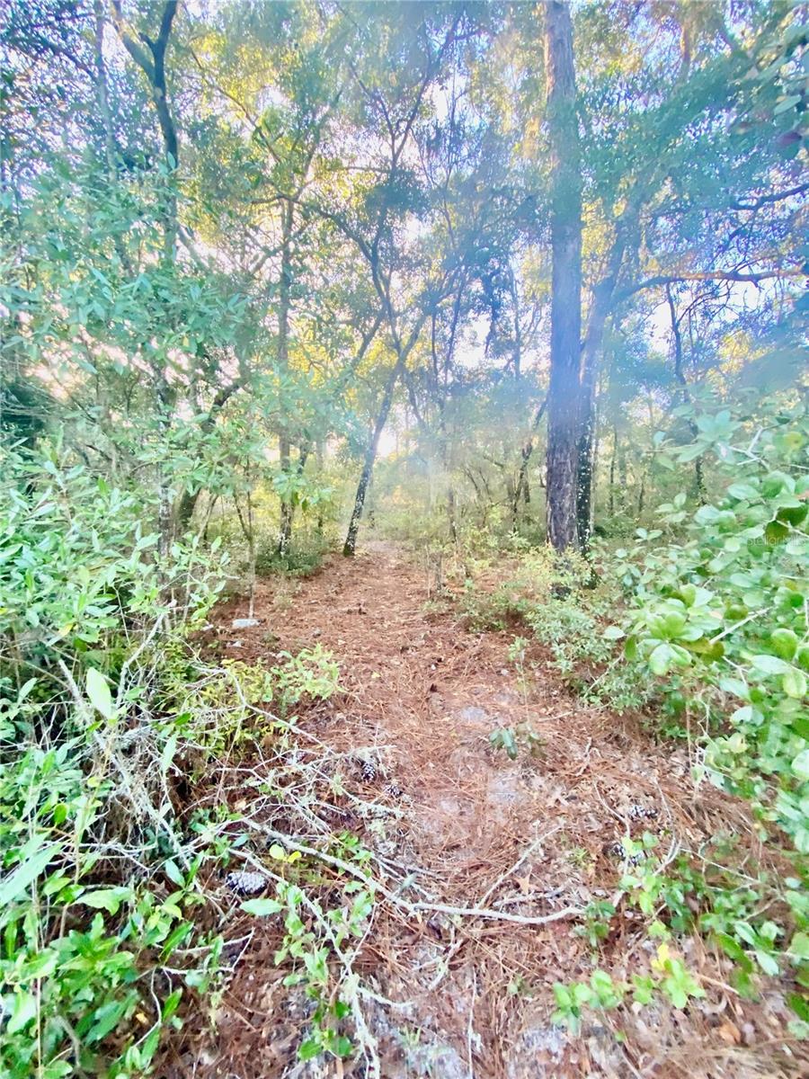 Photo of Listing #T3488607