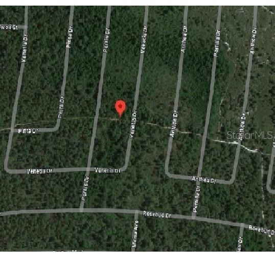 Photo of Listing #T3495999