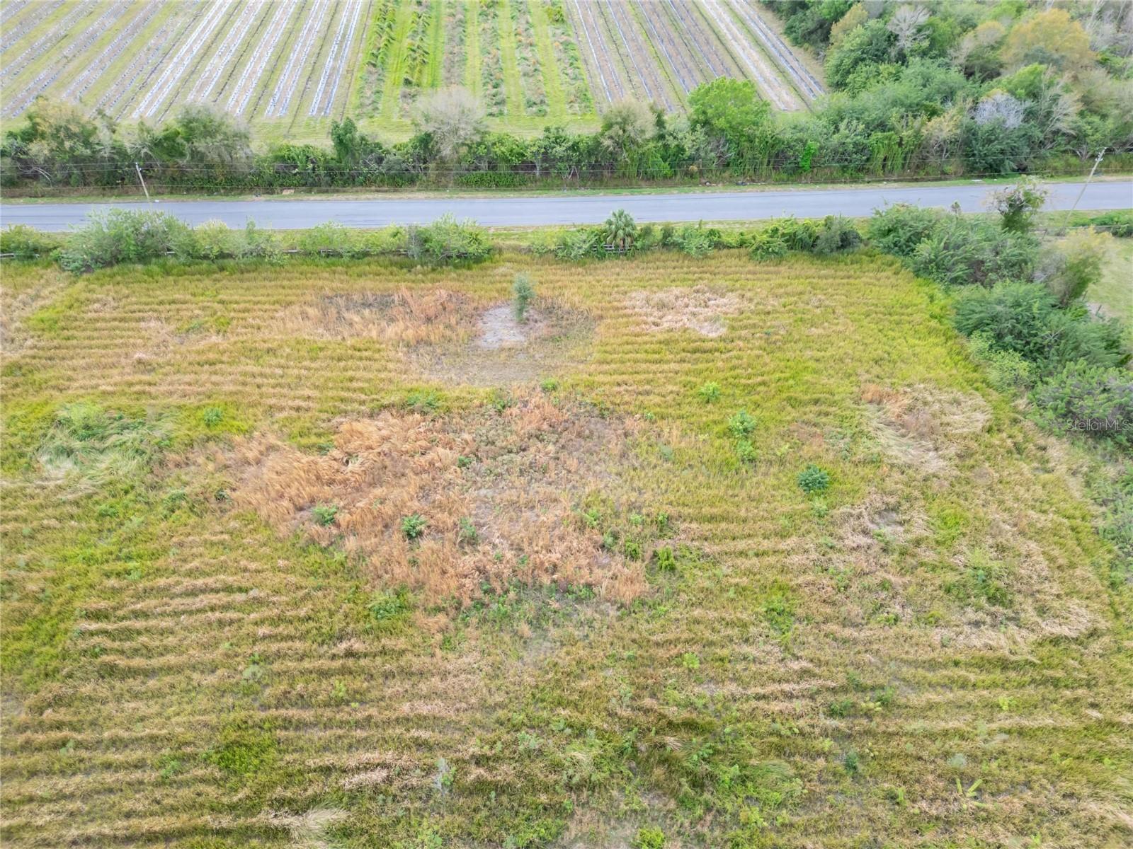 Photo of Listing #T3505957