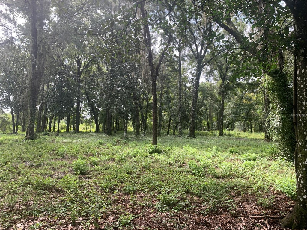 0000 Wc 48 Highway, BUSHNELL FL BUSHNELL Lots/Land Homes For Sale