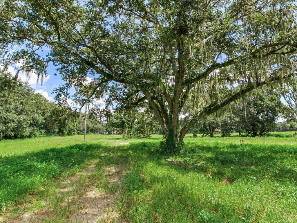 2910 Ranch Road, DOVER FL DOVER Lots/Land Homes For Sale