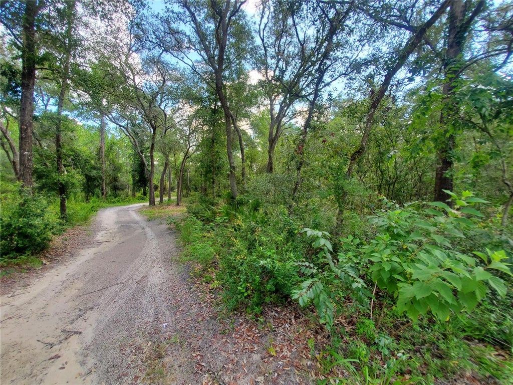 Berryhill Drive, WEBSTER FL WEBSTER Lots/Land Homes For Sale