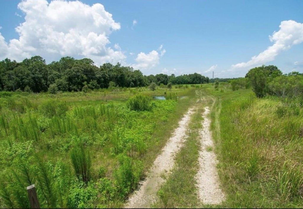 6831 Clove Lane, ZEPHYRHILLS FL ZEPHYRHILLS Lots/Land Homes For Sale