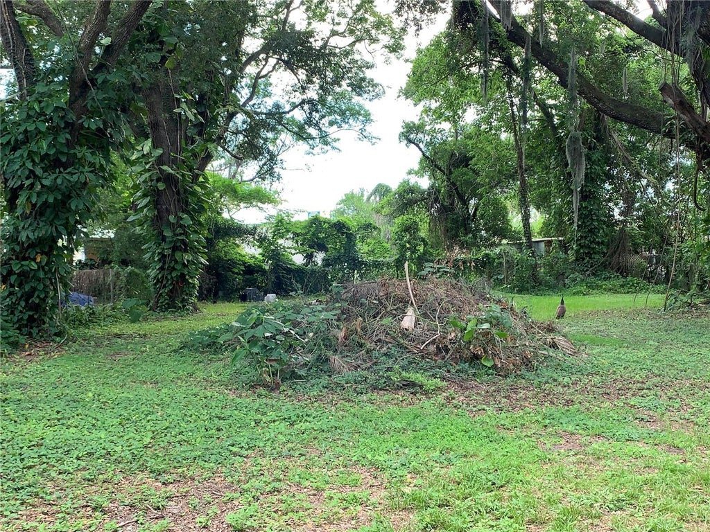 7410 Brooklyn Road, TAMPA FL TAMPA Homes For Sale