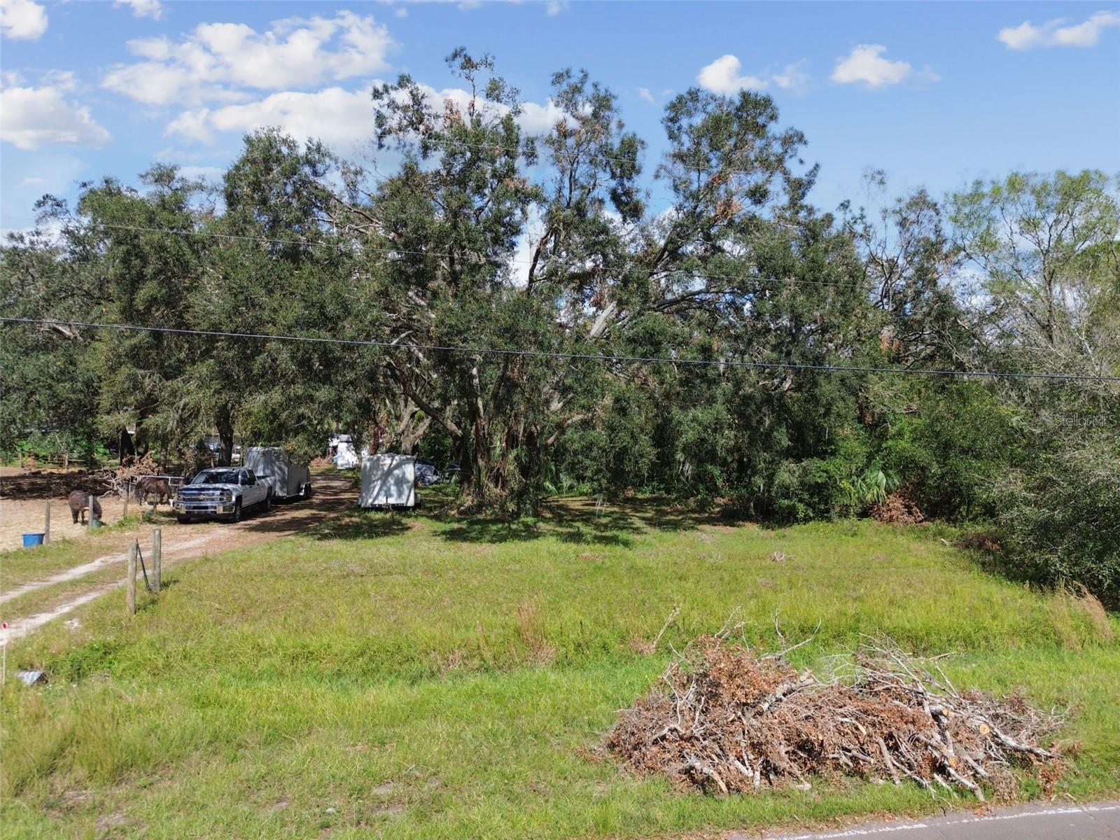 Photo of Listing #TB8317785