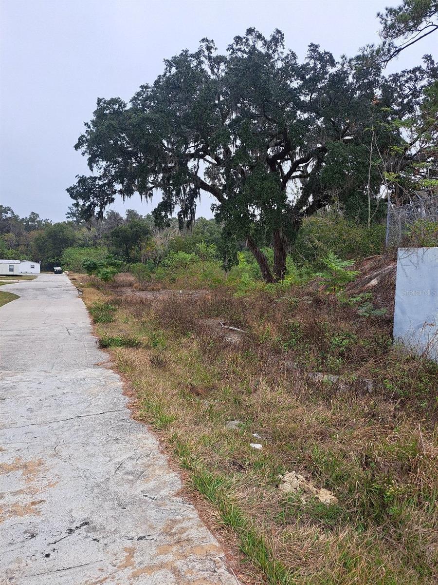 Photo of Listing #TB8336986