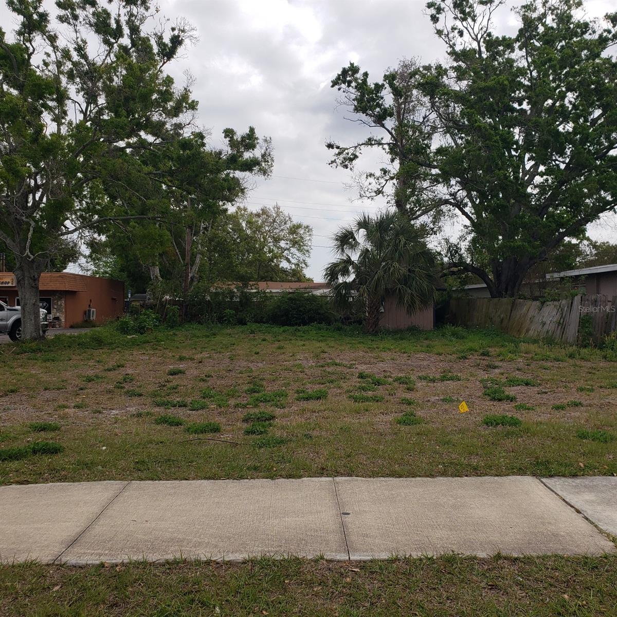 Photo of Listing #TB8359970