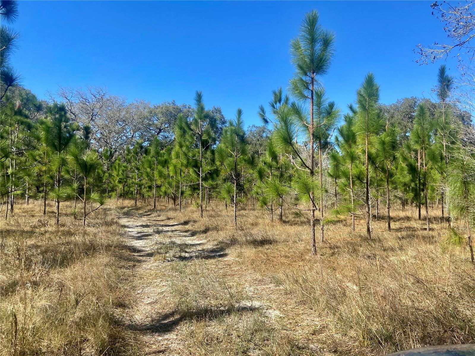 Photo of Listing #TB8362819