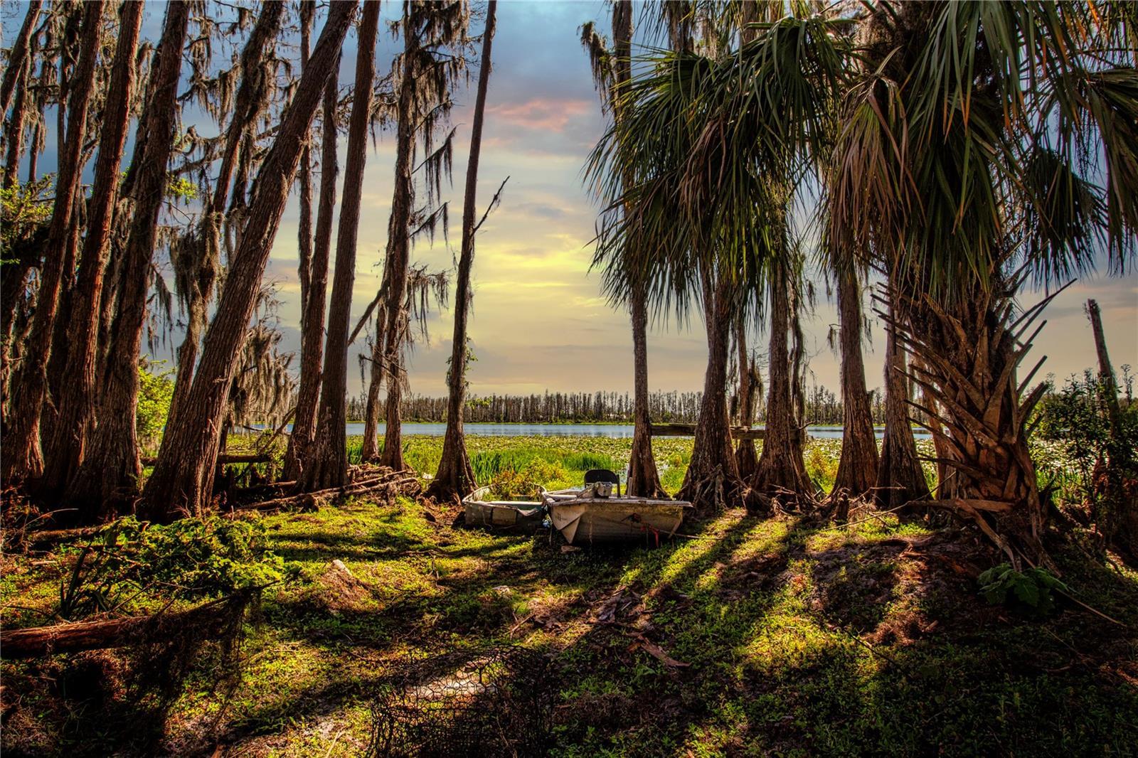 Photo of Listing #TB8363557