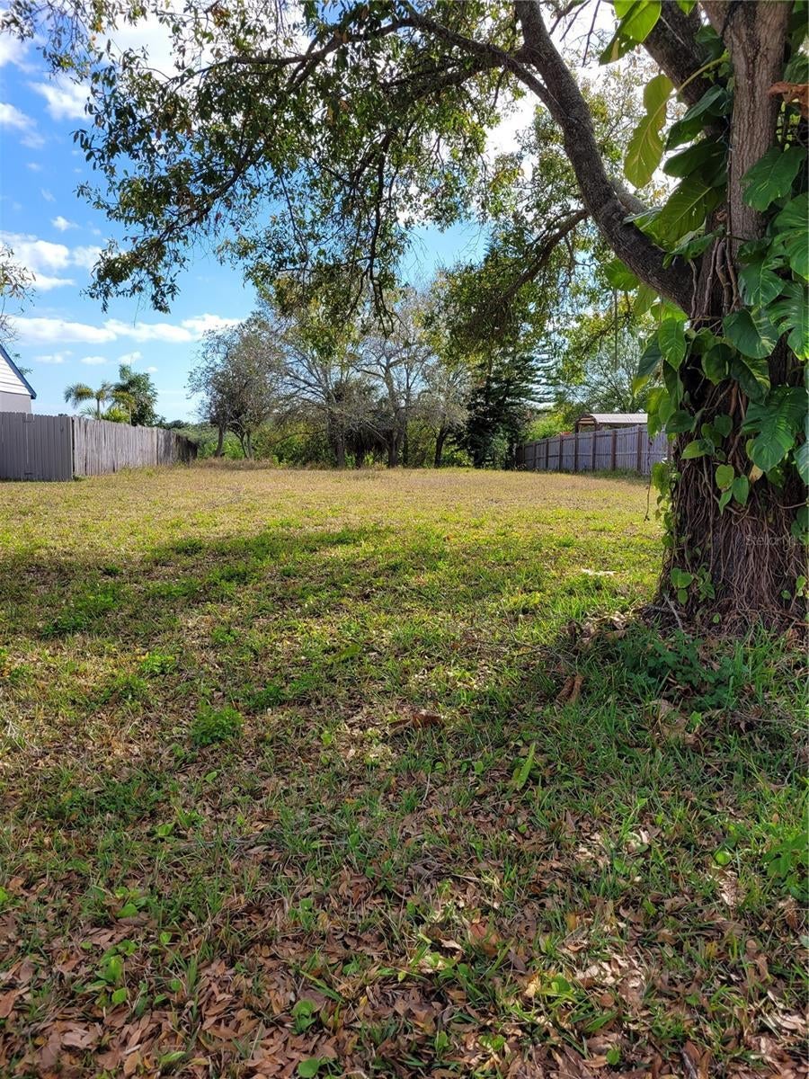 Photo of Listing #TB8370510