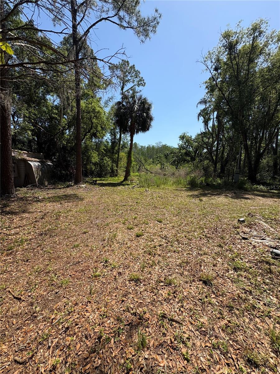 Photo of Listing #TB8371929