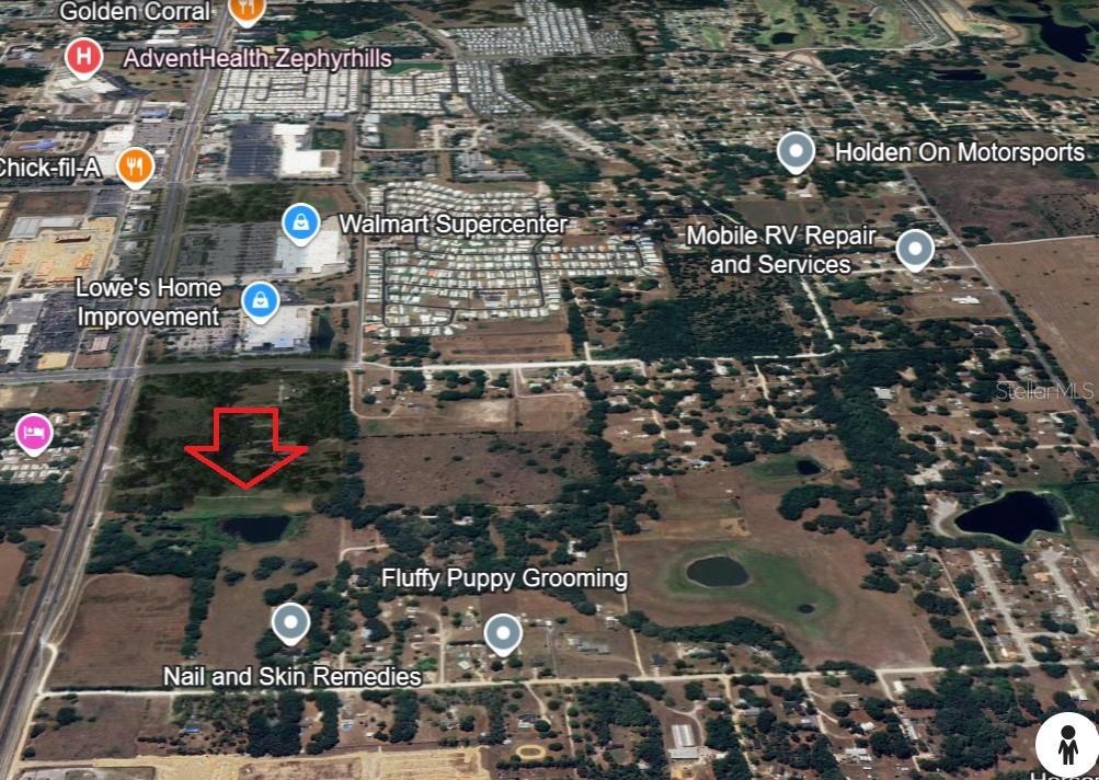 Photo of Listing #TB8375526