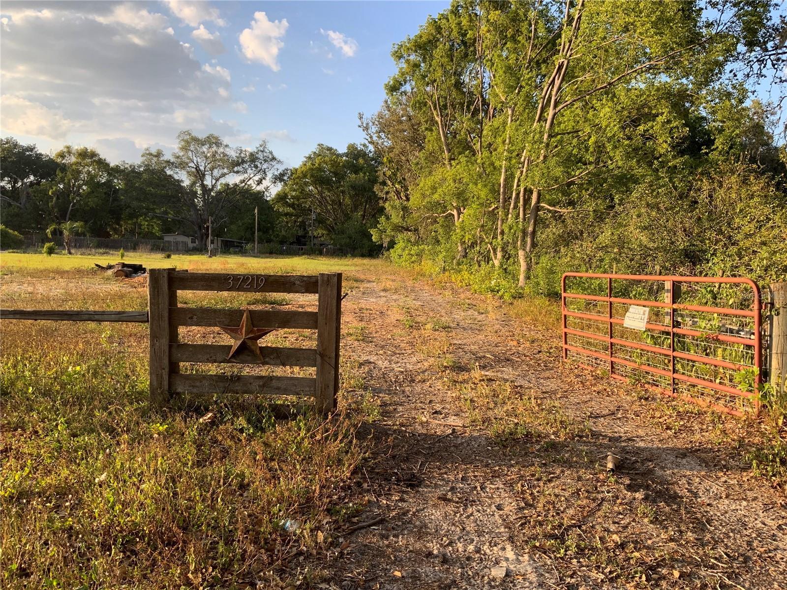 Photo of Listing #TB8381052