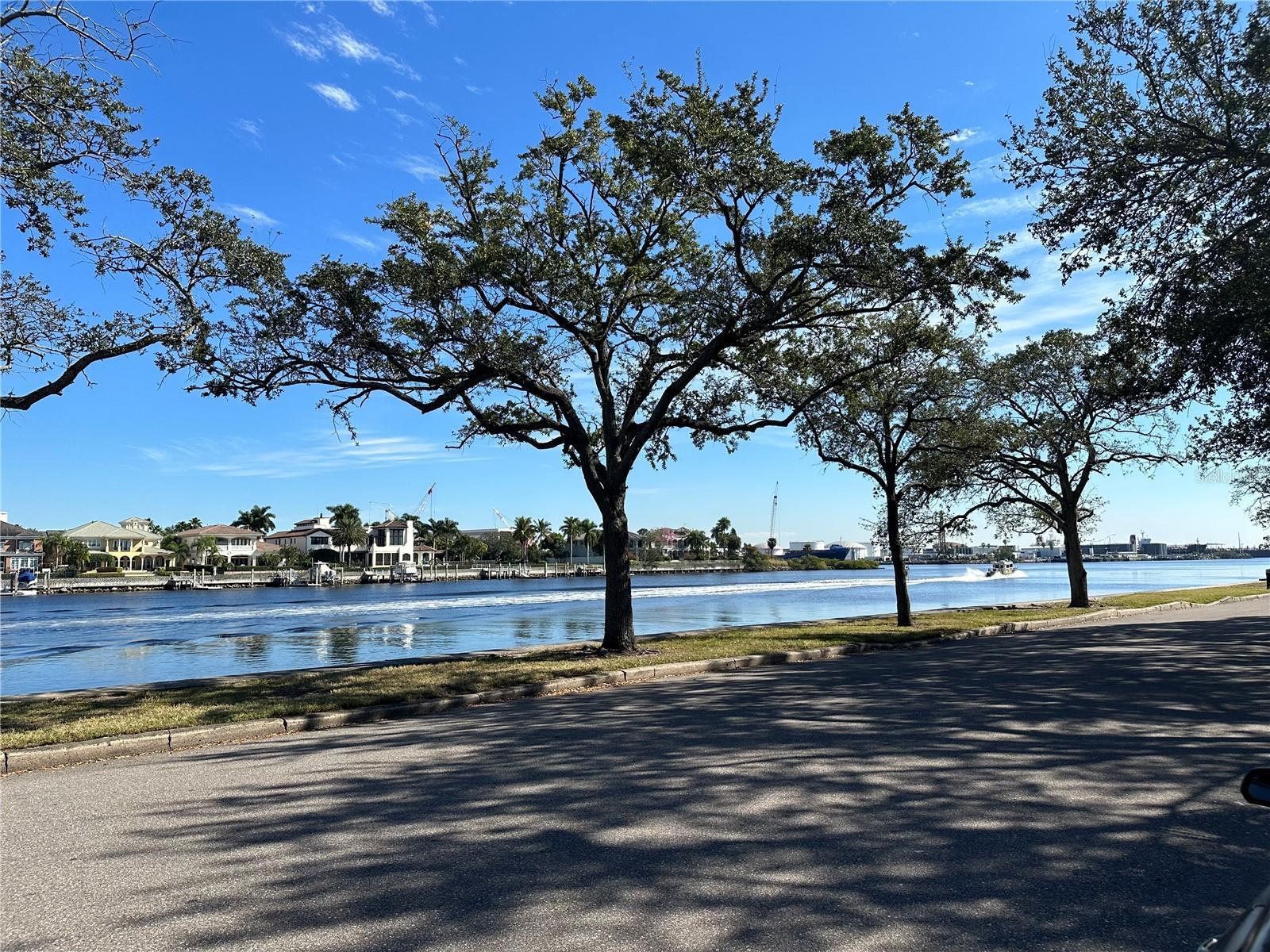 Photo of Listing #TB8387872