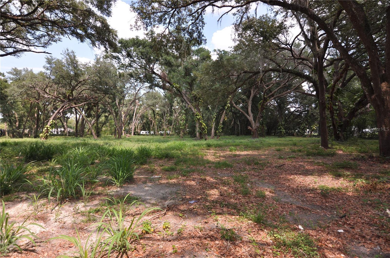 Photo of Listing #TB8390305