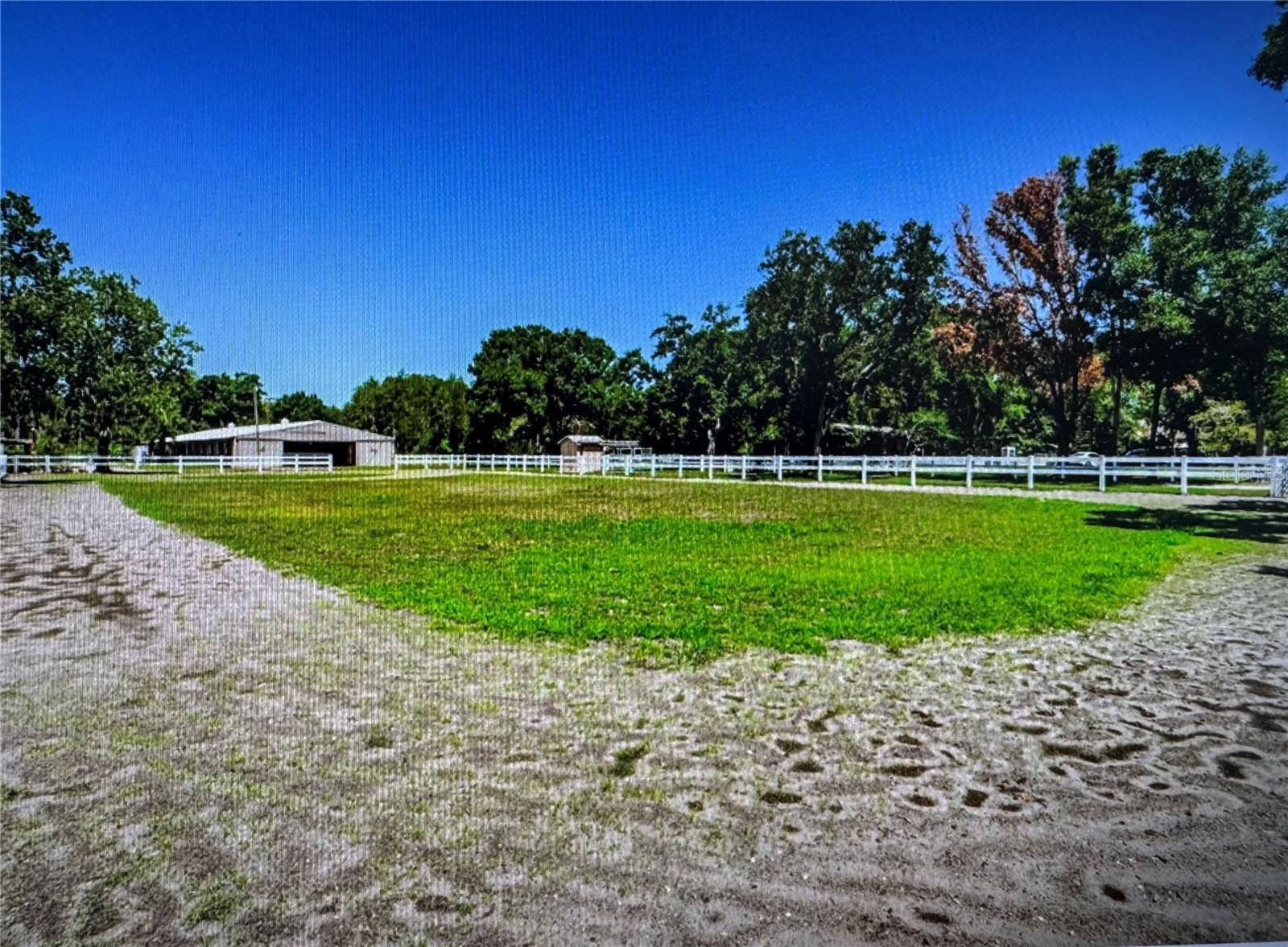 Photo of Listing #TB8392922