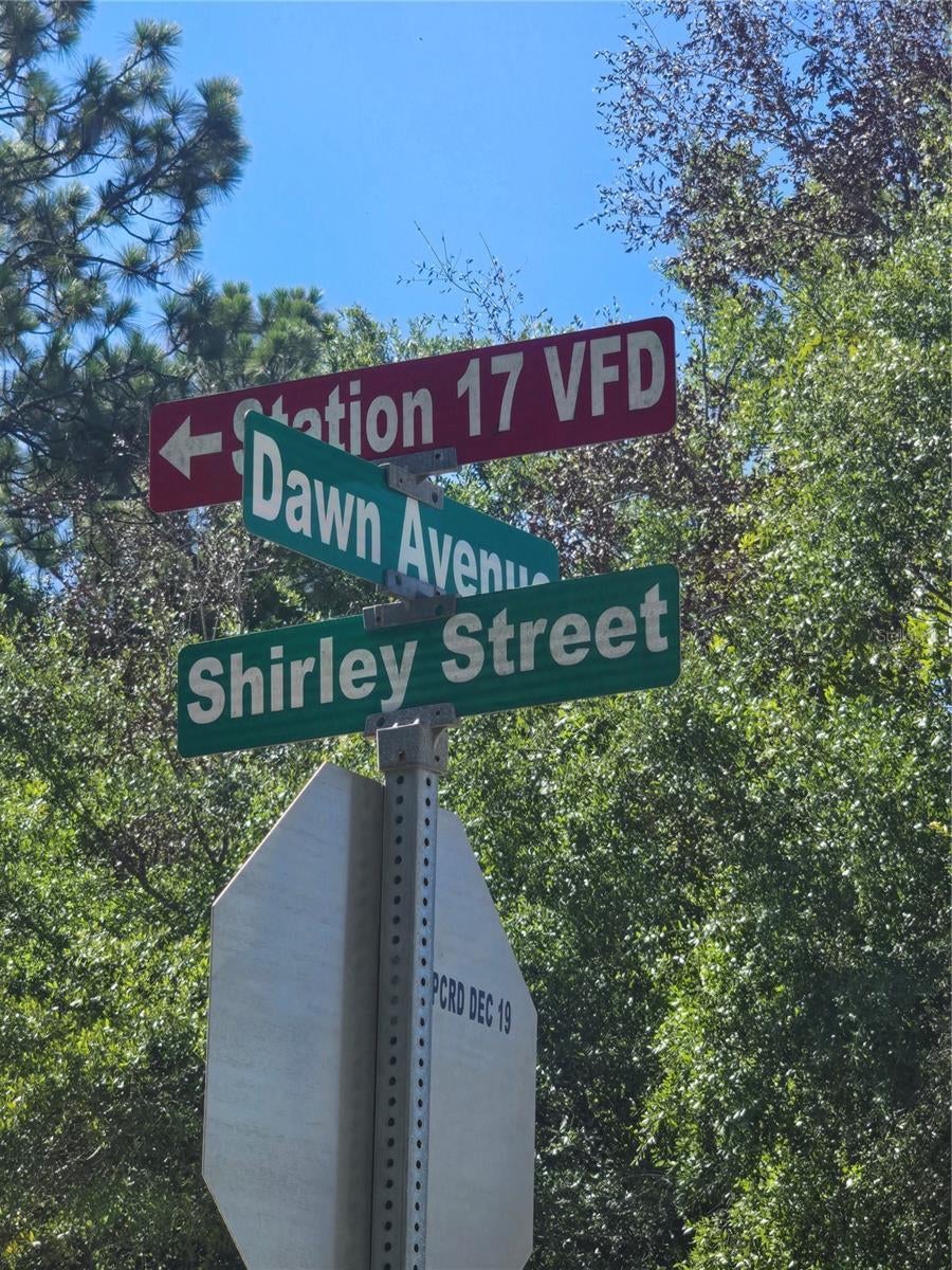 Photo of Listing #TB8410453