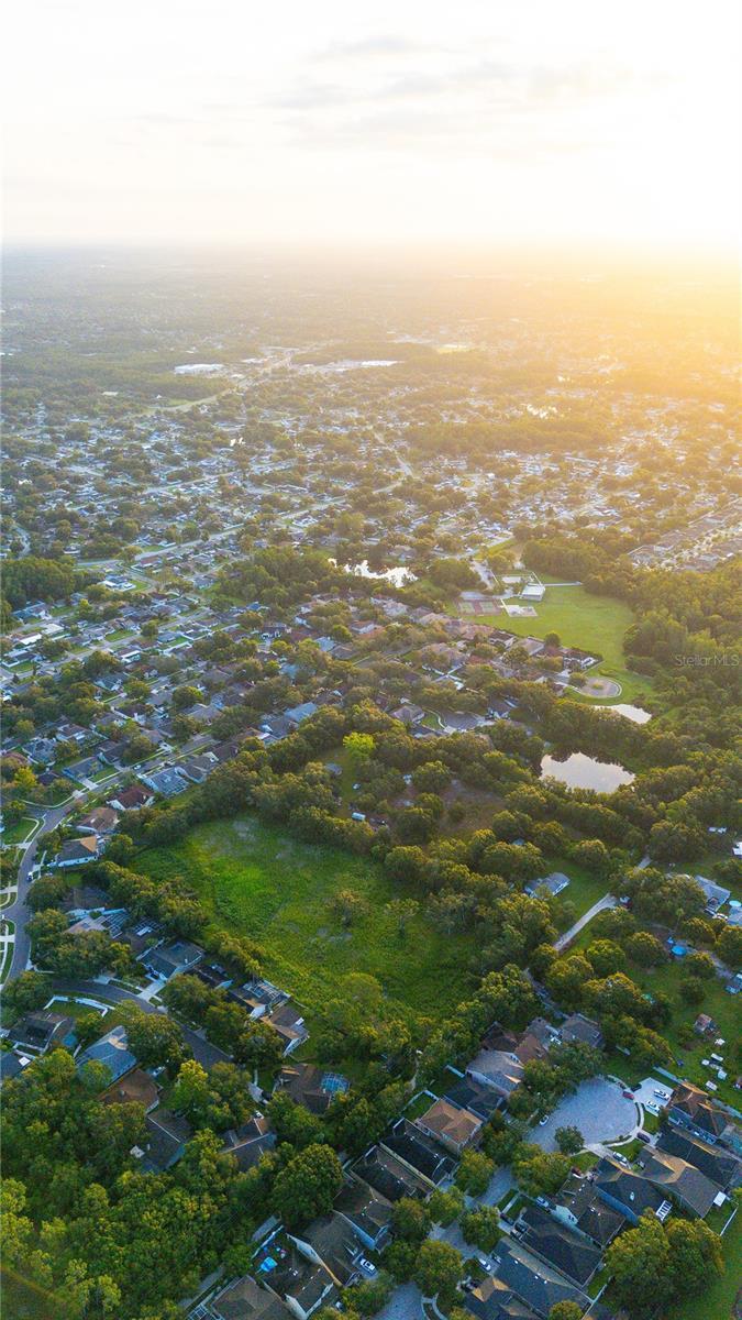 Photo of Listing #TB8410525