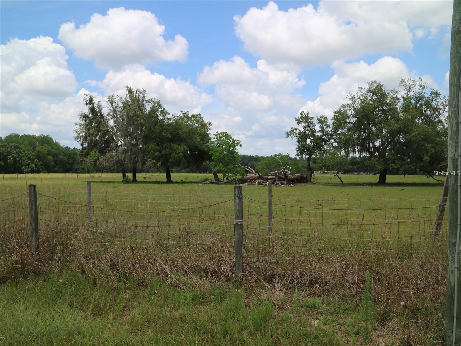 Photo of Listing #TB8411475