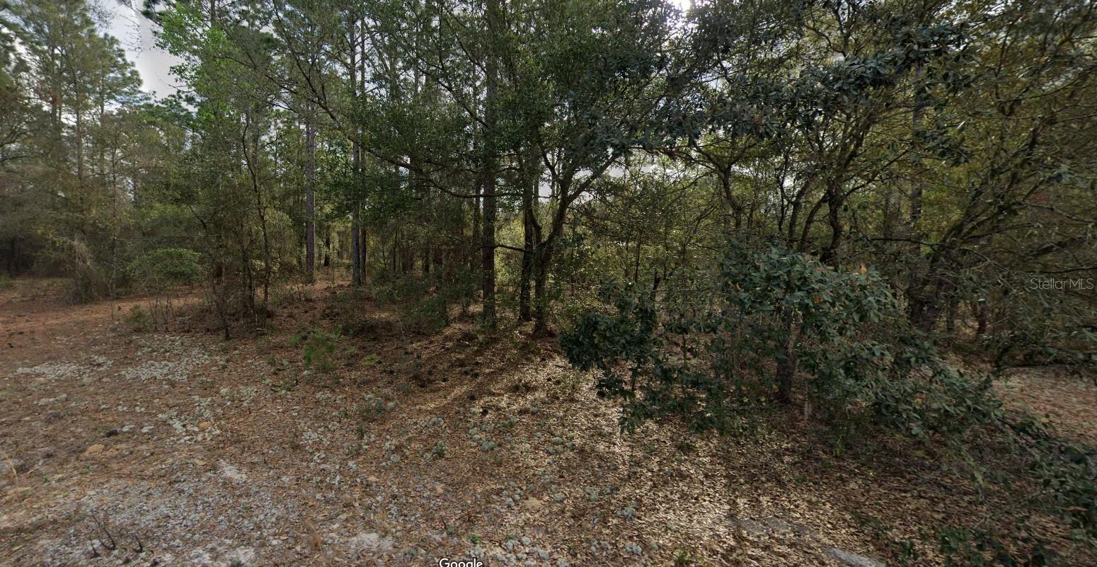 Photo of Listing #TB8418863