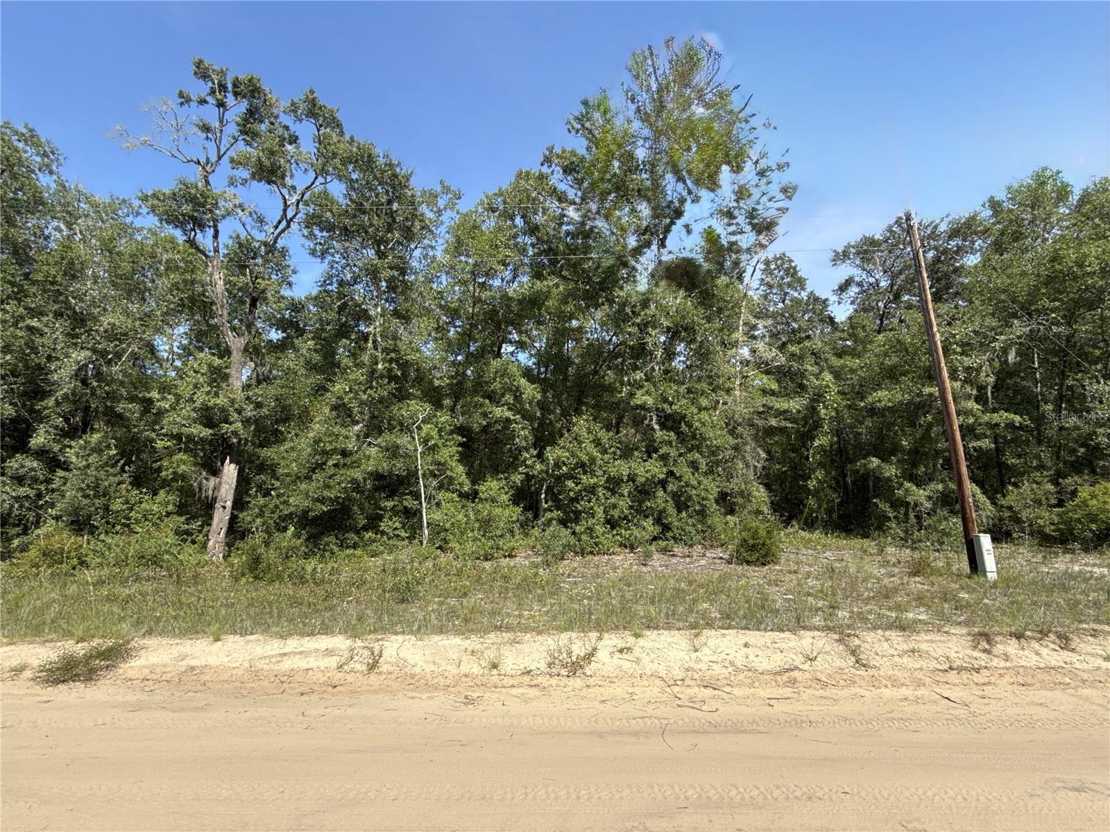 Photo of Listing #TB8422369