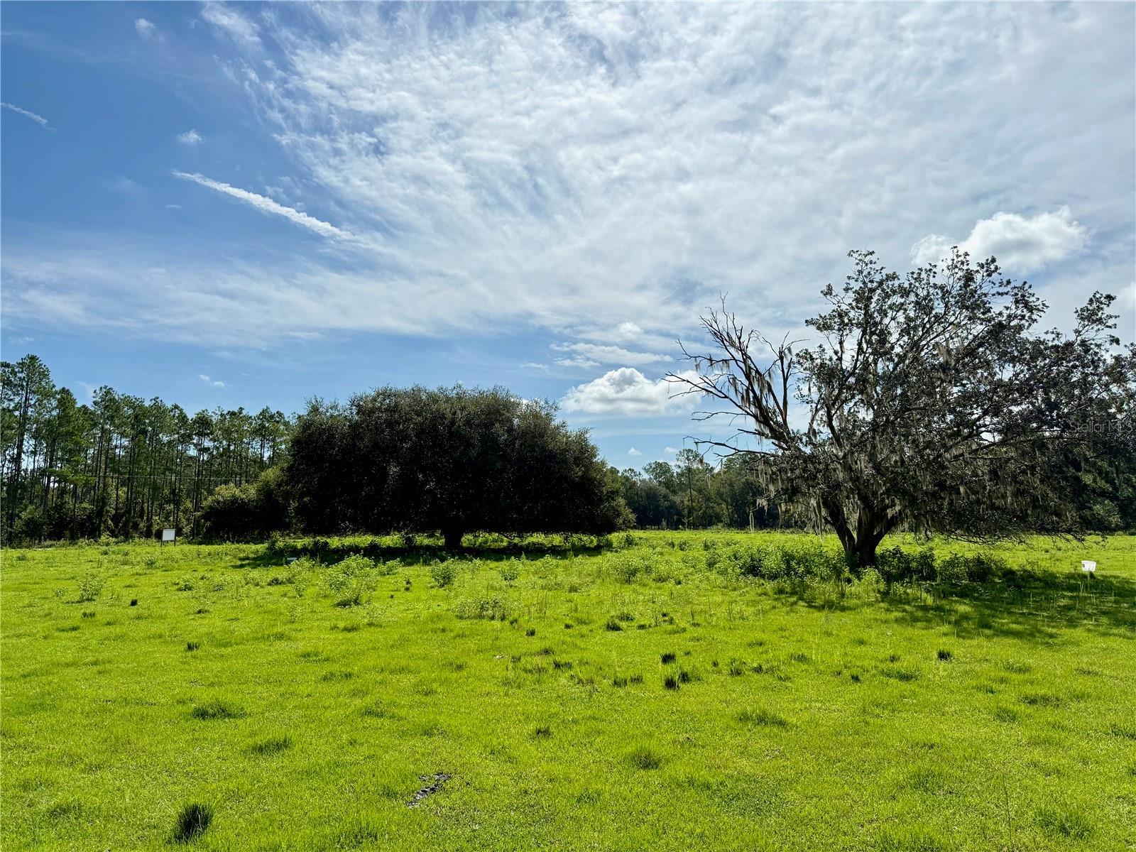 Photo of Listing #TB8423493