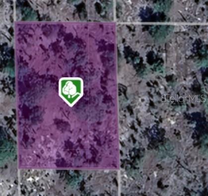 Photo of Listing #TB8434461